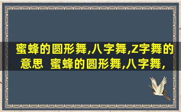 蜜蜂的圆形舞,八字舞,Z字舞的意思  蜜蜂的圆形舞,八字舞,z字舞的意思是什么